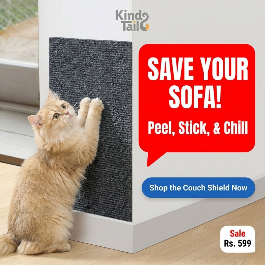 Cat Scratching Self Adhesive Mat
