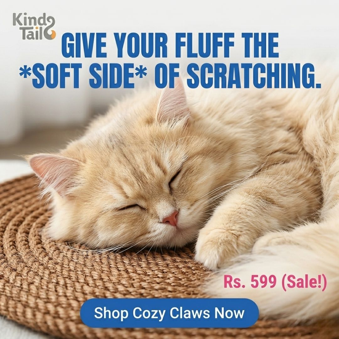 Rope Claw Cat Scratching Mat