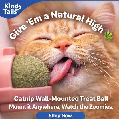 Catnip Wall-Mounted Treat Ball (Pack Of 2)