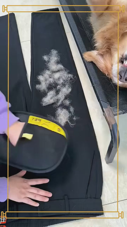 Pet Hair Removal Glove